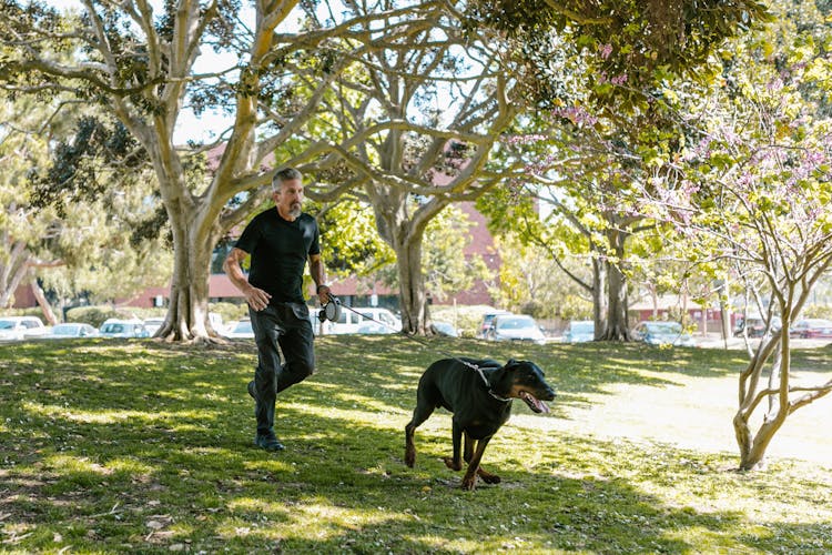 Man And A Black Dog Running In The Park 