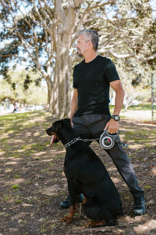 Free Person Standing Beside a Black Dog Stock Photo
