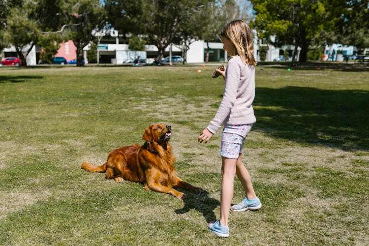 Kid Playing With A Dog