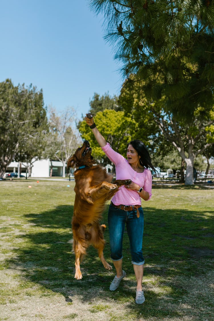 A Woman Plying With Her Pet Dog At A Park