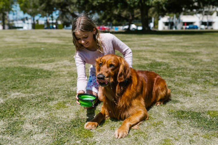 A Girl Feeding A Brown Dog