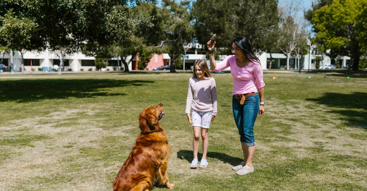 Famille jouant avec un chien dans un parc