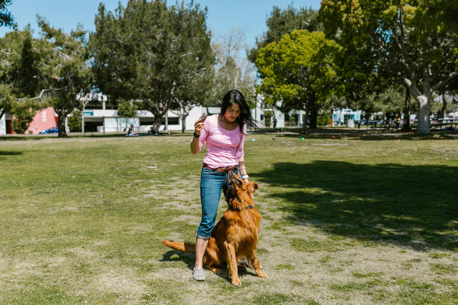 A Woman and Dog Playing on the Park