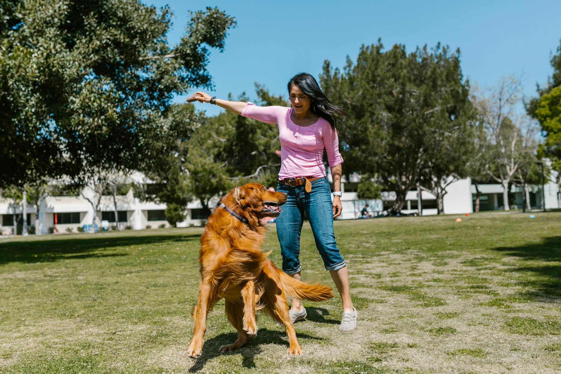 A Woman Plying with Her Pet Dog at a Park