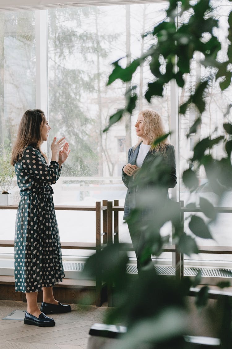 Smart Female Coworkers Discussing Near Window In Office