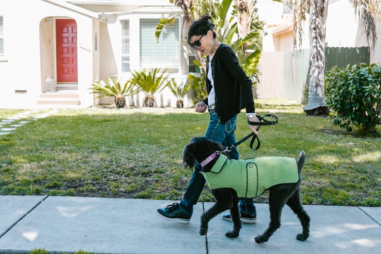 A Woman Walking Her Pet Dog On A Sidewalk