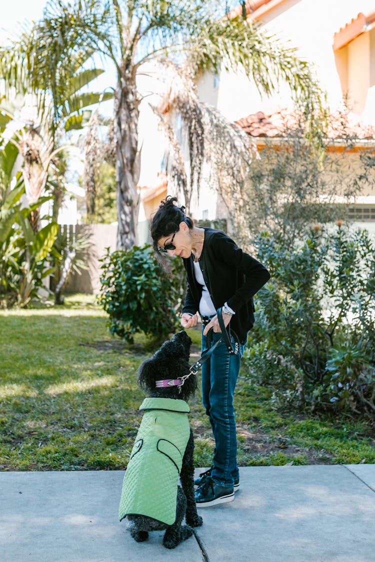 A Woman Teaching Her Dog