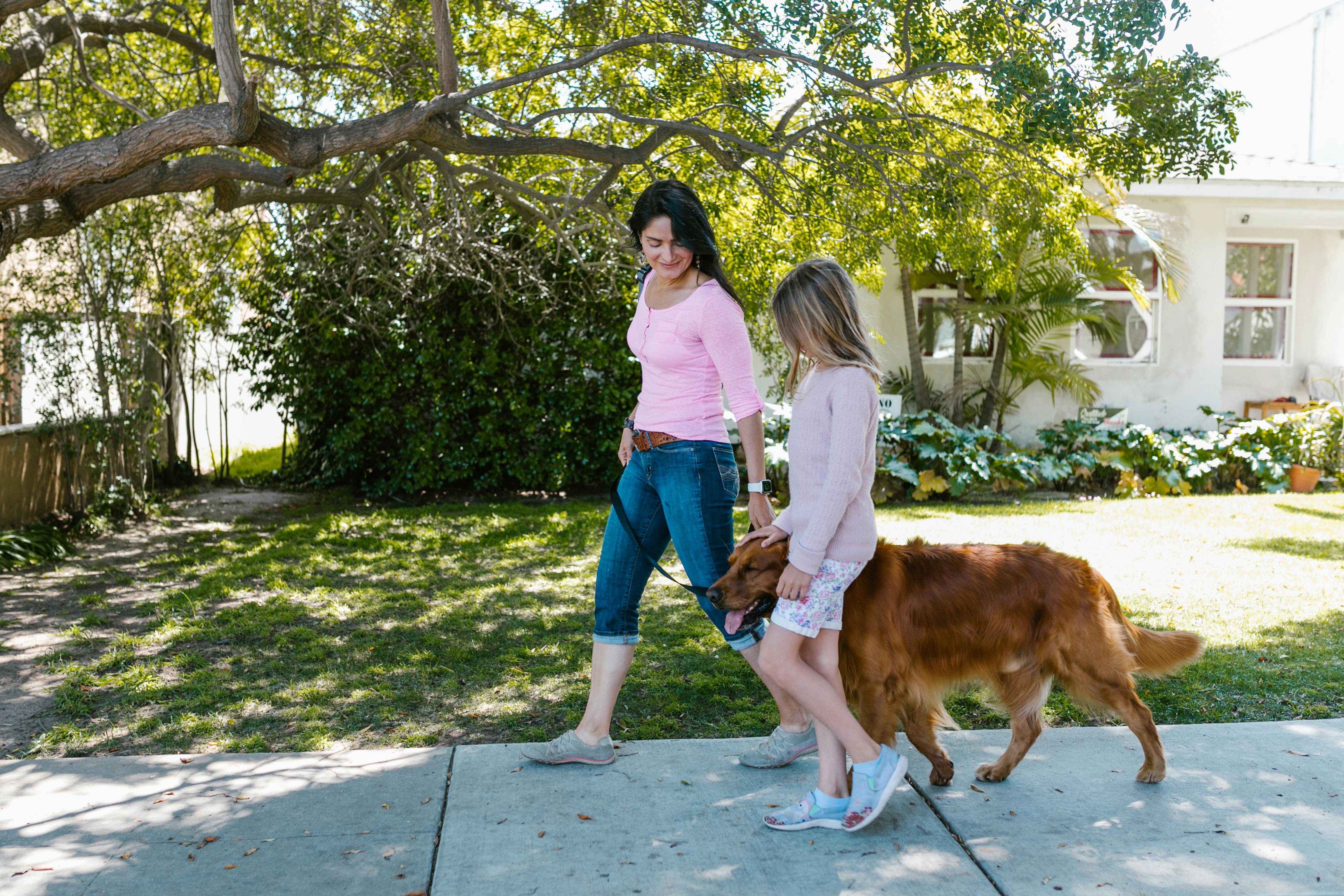 HILL'S PET NUTRITION INTRODUCES INNOVATION TO SUPPORT FELINE MOBILITY AND WEIGHT MANAGEMENT — Photo by RDNE Stock project on 