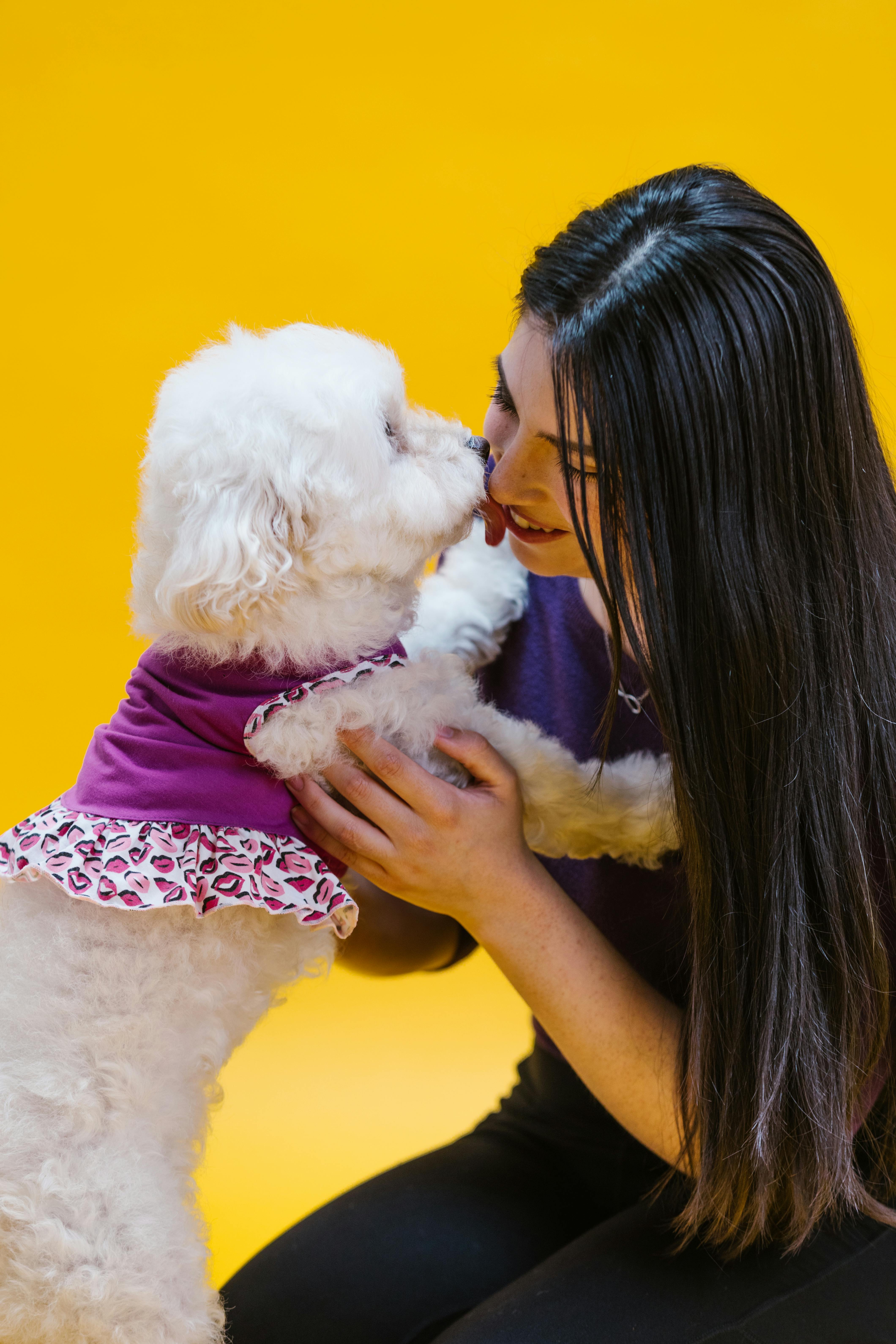 photo of a woman playing with a white dog