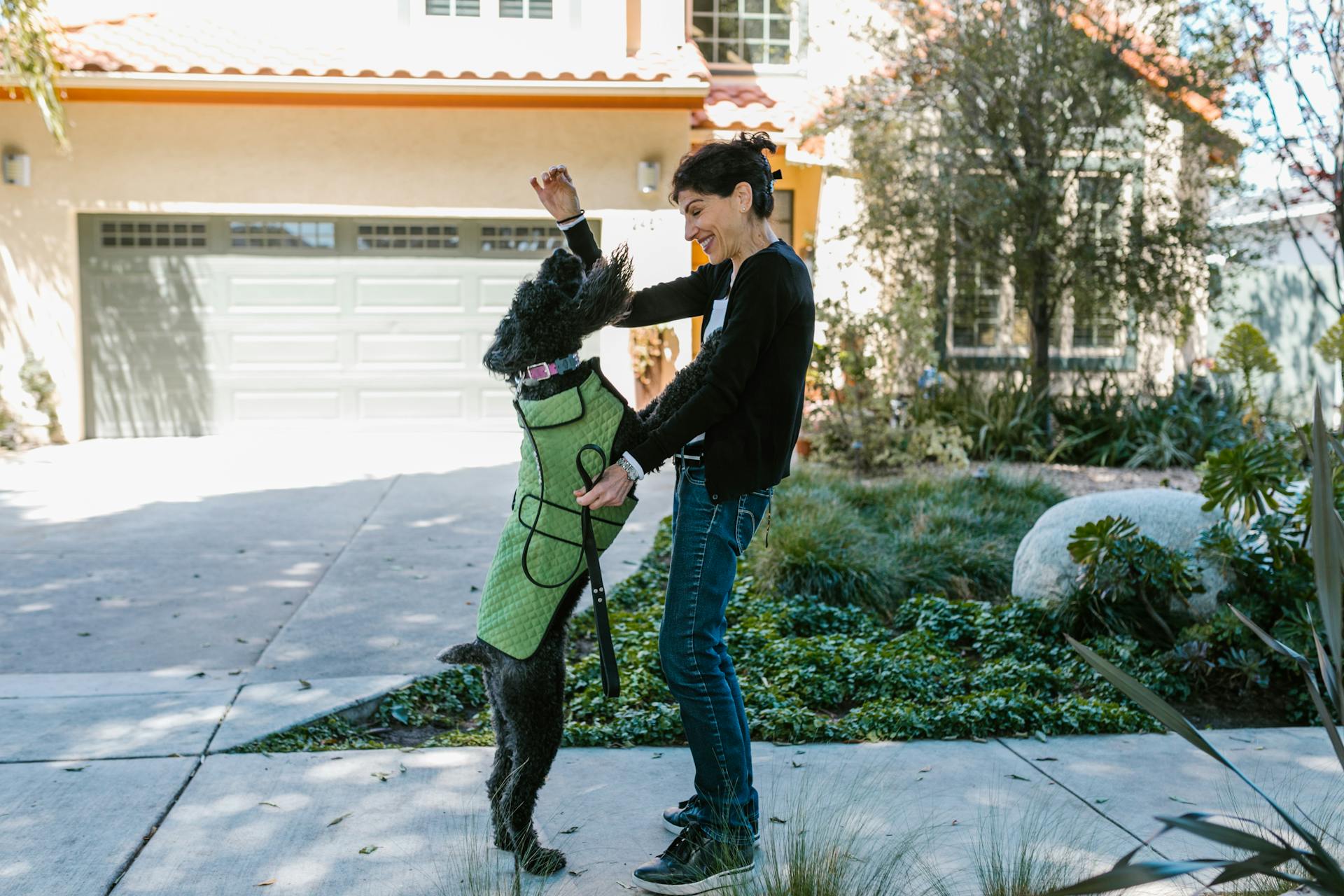 Photograph of a Woman Playing with Her Dog