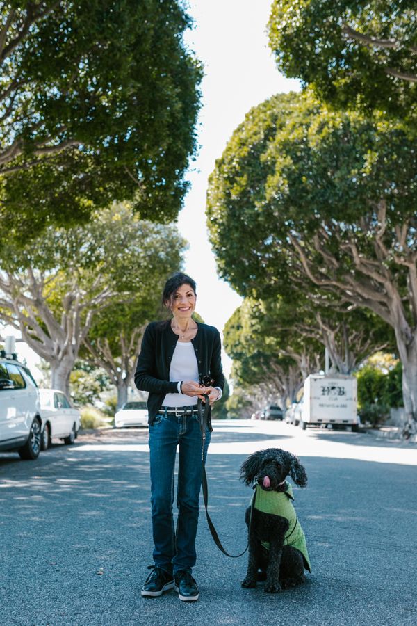 Professional Dog Walking Services in Greenwich