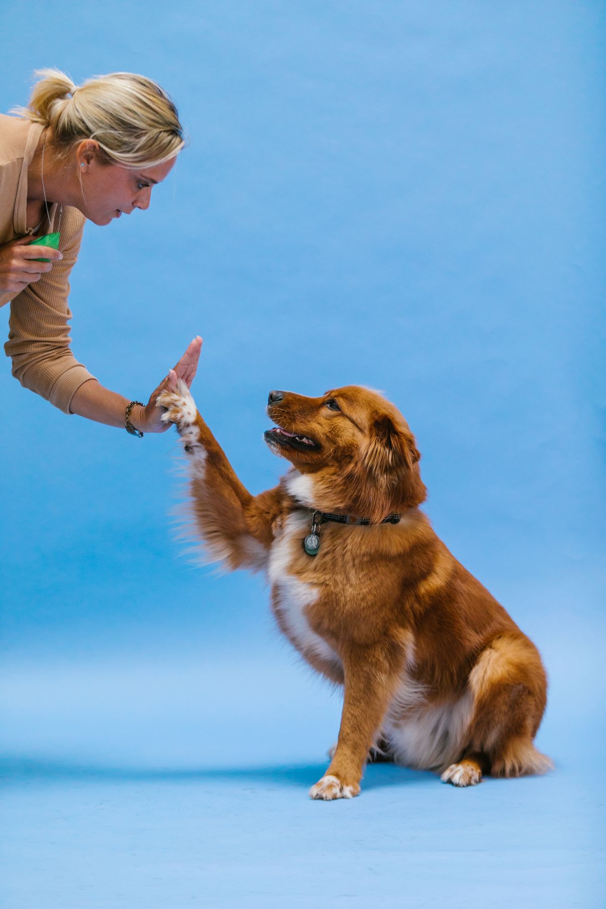 Dog training treats and clicker laid out on a surface