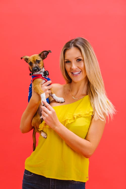 Free Woman in Yellow Top Holding Brown and White Short Coated Dog Stock Photo