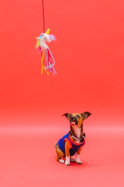 Arte e Criatividade