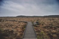 在瑞典莫斯商店广阔的沼泽地中，沿着宁静的木制小径探索前行