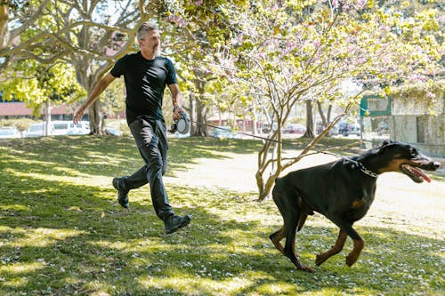 Man in Black Shirt Holding Leash While Running