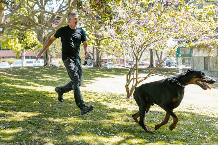 Man In Black Shirt Holding Leash While Running