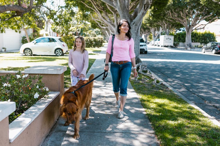 Woman Walking On Sidewalk While Holding Leash Of A Dog