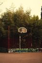 Blue and White Basketball Hoop Near Green Trees