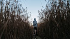 Man in the Middle of Trees