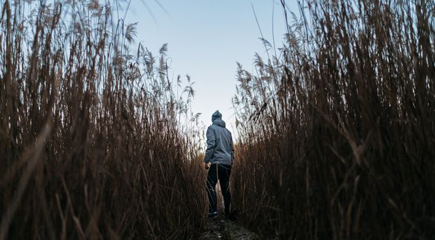 Man in the Middle of Trees