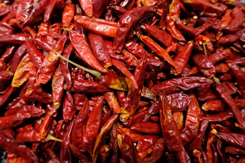 Free Phot of Dried Red Chili Peppers Stock Photo