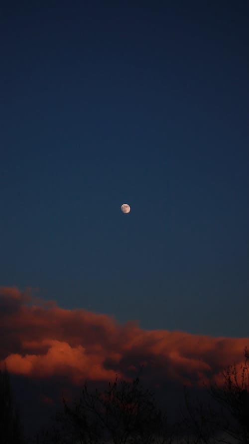 Základová fotografie zdarma na téma čisté nebe, měsíc, noc