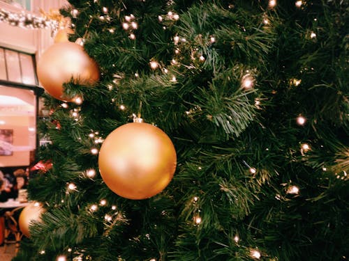 gratis Groene Kerstboom Met Drie Ronde Gouden Ornamenten Stockfoto