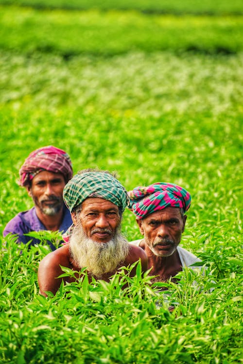 Close-Up Shot of Men Wearing Turban