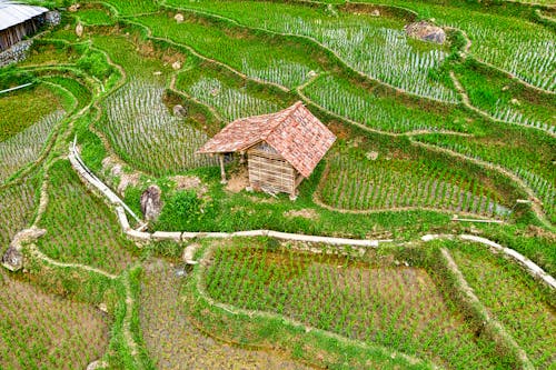 Ahşap ev, arazi, doğa içeren Ücretsiz stok fotoğraf