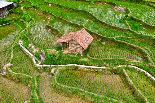 Free Stunning aerial view of lush rice terraces and a wooden hut in Purwakarta, Indonesia. Stock Photo