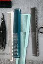Black and Blue Hair Comb