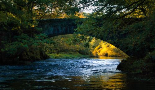 Free A scenic view of a stone bridge over a river framed by autumn foliage, casting reflections in the water. Stock Photo