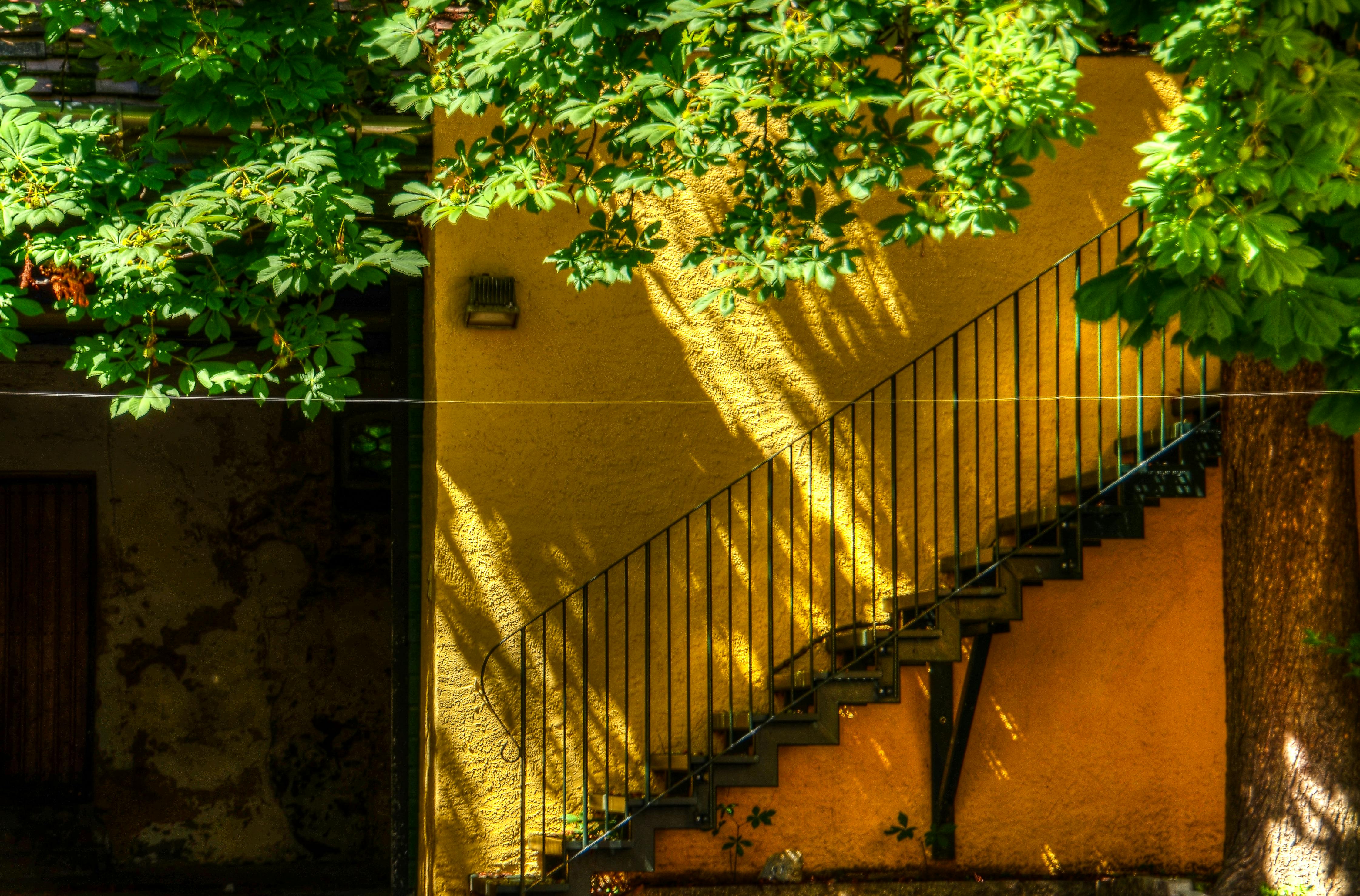 Concrete Stairs with Metal Railings Near Big Tree · Free Stock Photo