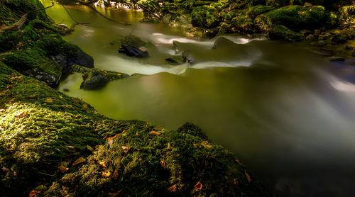 Free A tranquil scene of a moss-covered riverbank, capturing the essence of peaceful nature. Stock Photo