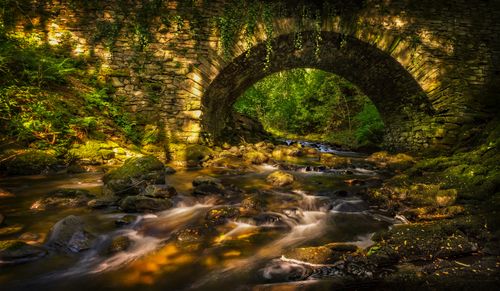 Free Serene forest stream flowing under an old stone bridge, surrounded by lush greenery. Stock Photo
