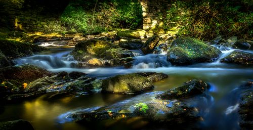 Free Tranquil stream flowing over mossy rocks beneath a sunlit forest canopy. Stock Photo