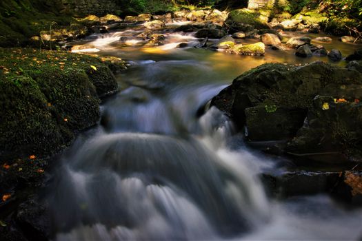 A peaceful forest stream flows over mossy rocks, captured in long exposure, showcasing nature's beauty.