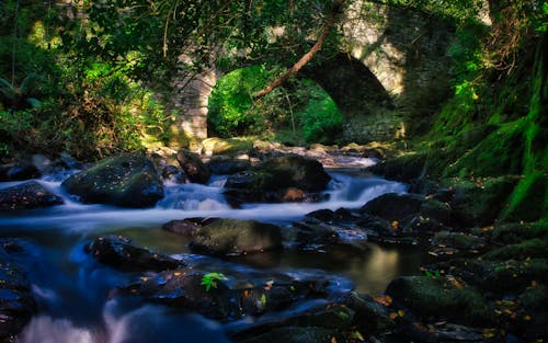 Kostenloses Stock Foto zu brücke, felsen, felsig