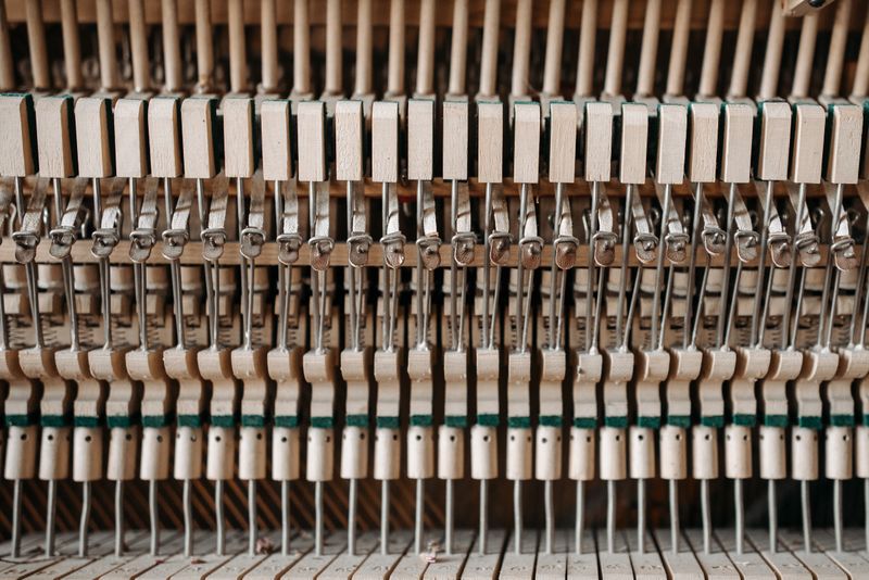 Martillos y cuerdas del mecanismo interior de un piano