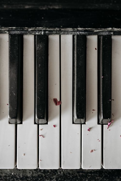 Free A close-up shot of dusty piano keys with scattered pink flower petals. Stock Photo