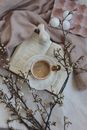 Ceramic Cup and Saucer on a Book