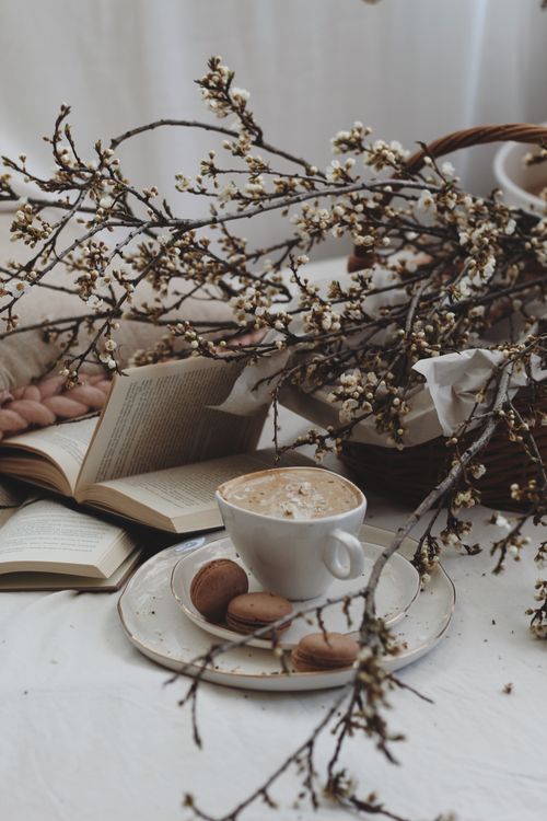 Free A tranquil setup with coffee, books, macaroons, and cherry blossoms. Stock Photo