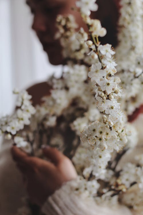 Fotobanka s bezplatnými fotkami na tému biele kvety, človek, držanie