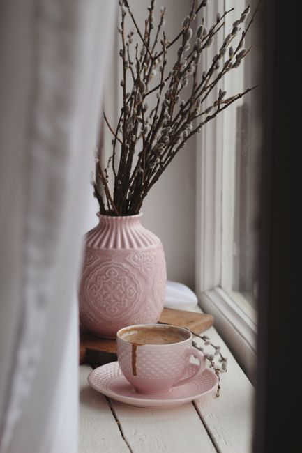 Cup of fragrant hot cacao placed on windowsill near bunch of Salix discolor plants in elegant vase in daytime
