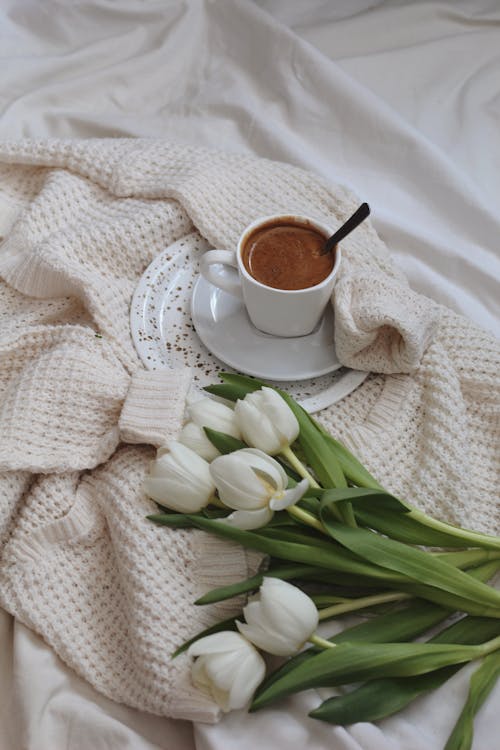 Free From above of bunch of elegant white tulips placed on crumpled bed with soft knitted cardigan and cup of aromatic hot chocolate at home Stock Photo