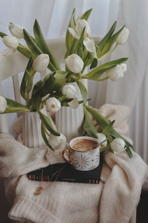 Free High angle of cup of hot cacao on book placed on warm trendy sweater with vases of tender white tulips on chair in light room Stock Photo
