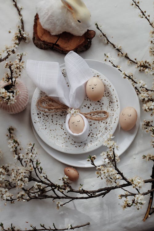Darmowe zdjęcie z galerii z jajka, królik, kwiat wiśni