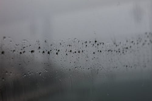 무료 블랙 앤 화이트, 비, 빗방울의 무료 스톡 사진