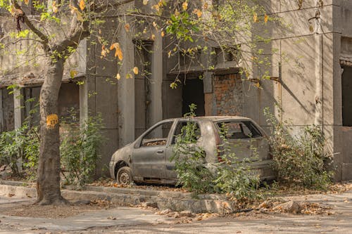 Photos gratuites de abandonné, arbre, bâtiment